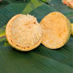 পাহাড়ি বুনো বেল - মিডিয়াম সাইজ 80tk পিস